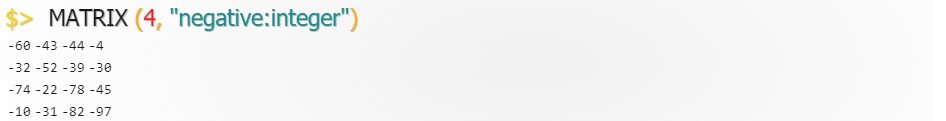 Matrixwith(4,negativeInteger).jpg