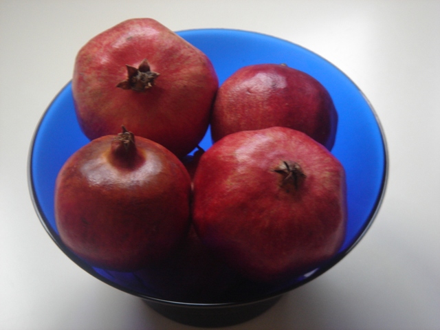 File:Yurttas PL OOL Cplusplus oldies f swhsu yuewang images yuewang sy0200.jpg